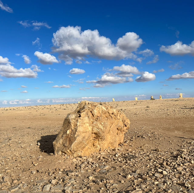 Field Of Rocks