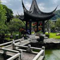清暉園：古典園林，漫步賞景