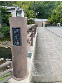 【静岡/伊豆修善寺】竹林の小径でおさんぽ🎋