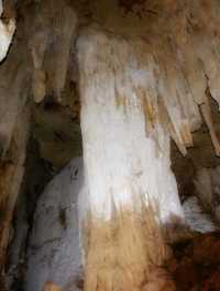 แพภูตะวัน Homestay เขื่อนเชี่ยวหลาน