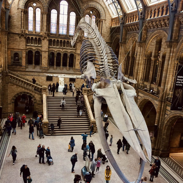 Exploring the Natural History Museum in London