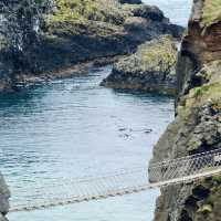 Hiking to the Carrick-a-Rede Rope Bridge