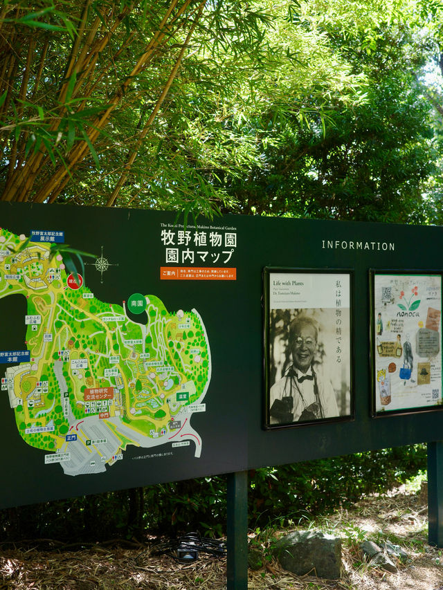 📍牧野富太郎記念館/高知