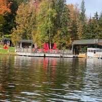 Experience Adirondack elegance at Lake Placid Lodge—where adventure meets lakeside luxury!