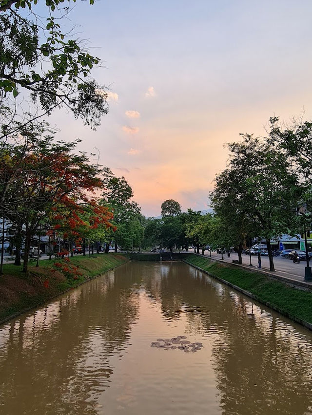 📍 ประตูช้างเผือก 