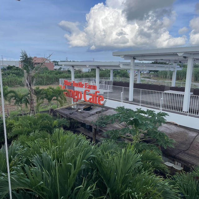 【宮古島】南国風の超おしゃれカフェ☕️🌺🌴