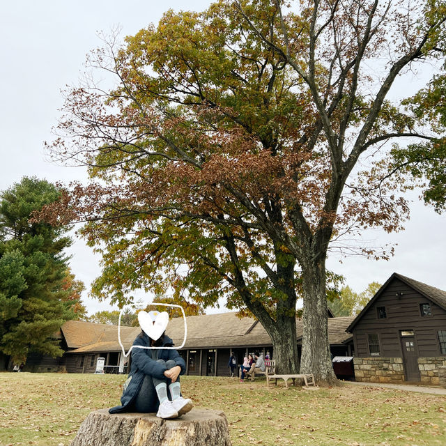 미국에서의 가을 여행! 셰난도어 국립공원🍂🍁