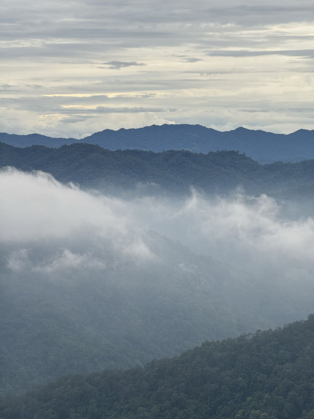 ห้วยกุ๊บกั๊บ | ฤดูฝน 🏡⛰️🌧️🌿