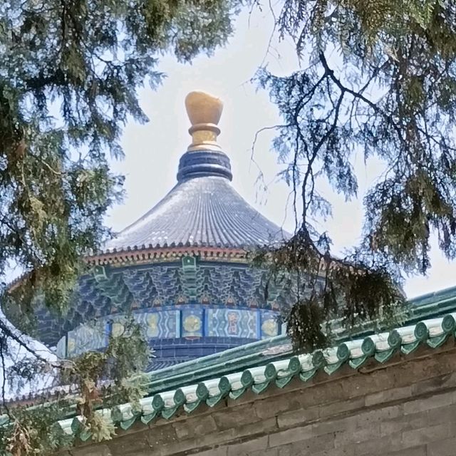 Temple of Heaven ~ Beijing's Architectural and Spiritual Gem