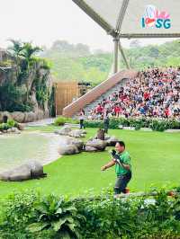 🇸🇬 Sky Amphitheatre Wings of the World