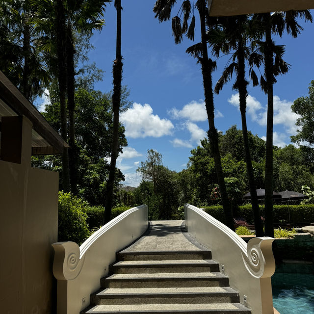 めーーっちゃ長いプール🌴🐘ゾウのお風呂🫧🛁