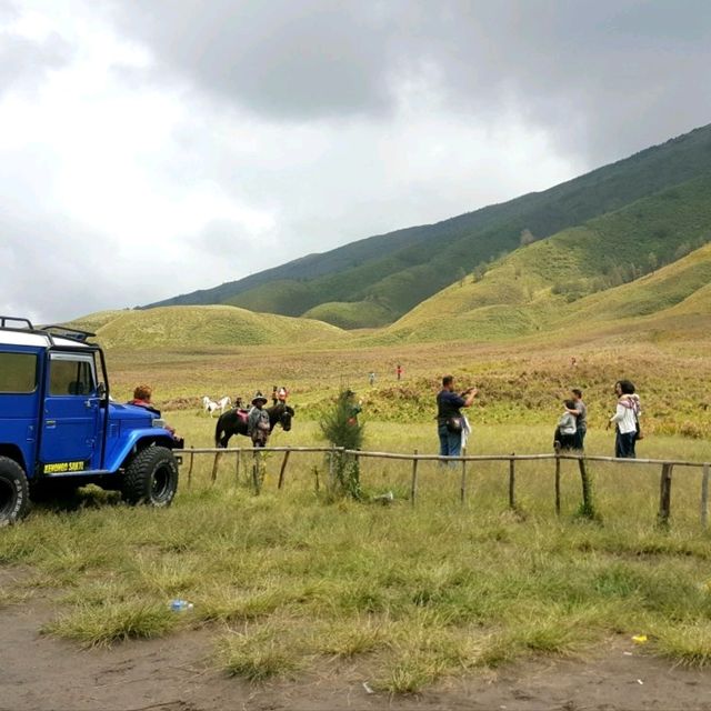 GRASSLANDS OF SAVANNAH HILLS 