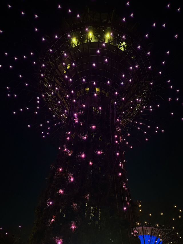 🇸🇬Don’t miss out this breathtaking light show in this Sept!