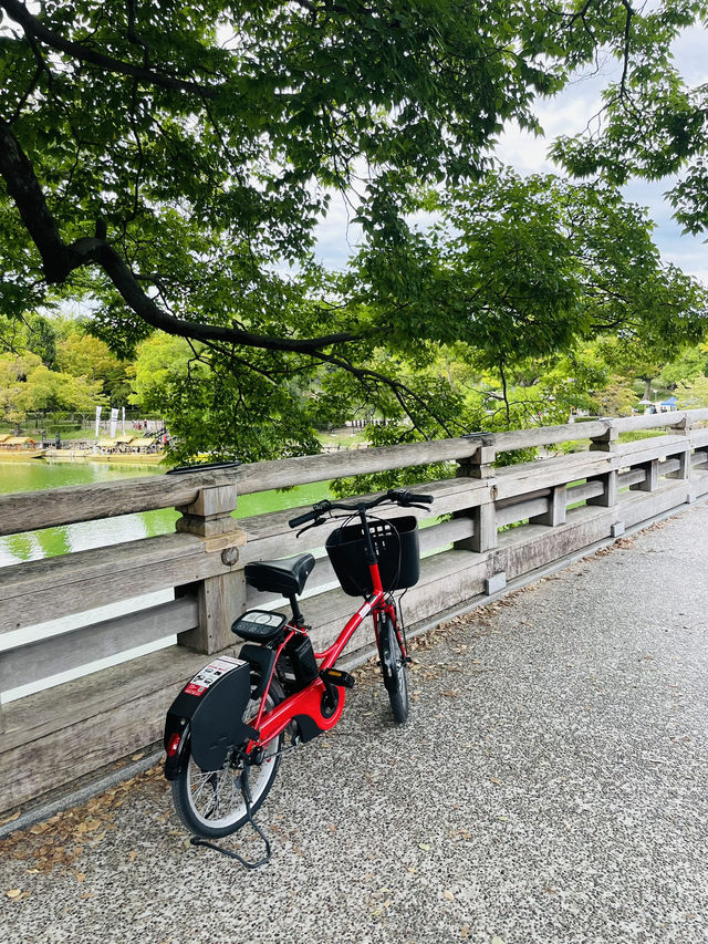【大阪府:大阪城公園】広い大阪城観光にはレンタサイクルがおすすめ！！