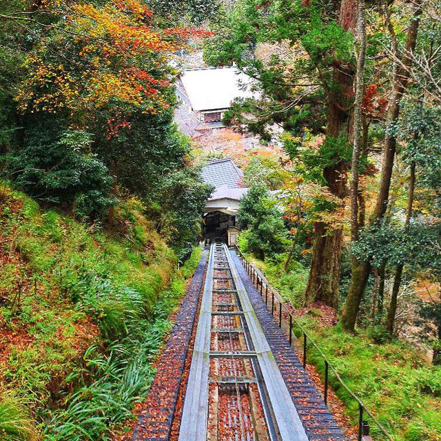 Hiking Mount Kurama: A Colorful Autumn Adventure