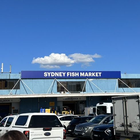 🐟🦐🦀《悉尼魚市場：海鮮美食之旅》🌊🍴🇦🇺