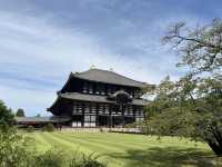 東大寺/ 祈禱天下太平的宏偉寺院