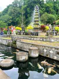 🇮🇩 Taman Tirta Gangga in Bali, Indonesia