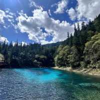 ～中山逍遙谷～靜謐之旅～