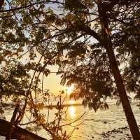 "Captivating Sunsets: A Visit to Penang Beach by the Bridge"