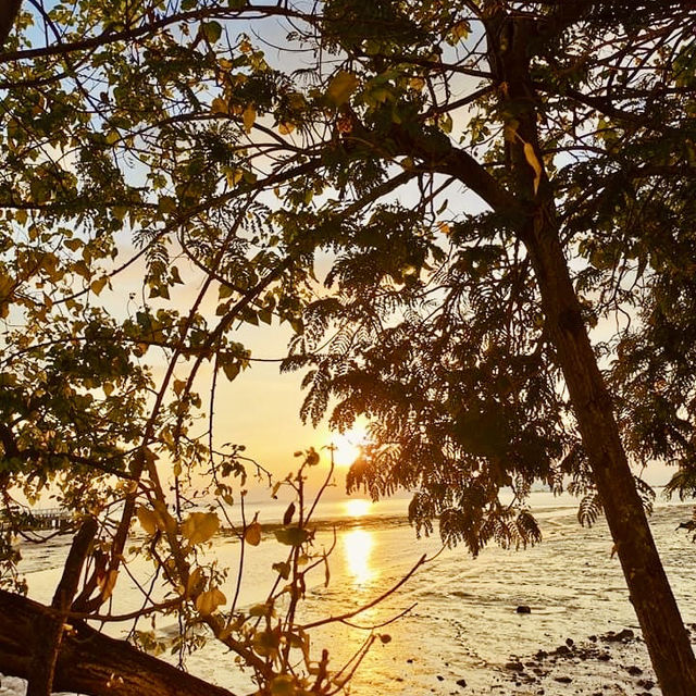 "Captivating Sunsets: A Visit to Penang Beach by the Bridge"