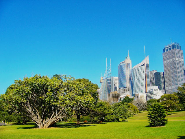 Royal Botanic Garden Sydney