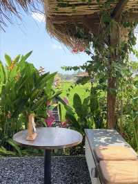 Cafe surrounded Ubud rice fields🌾