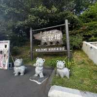 北海道之道南遊