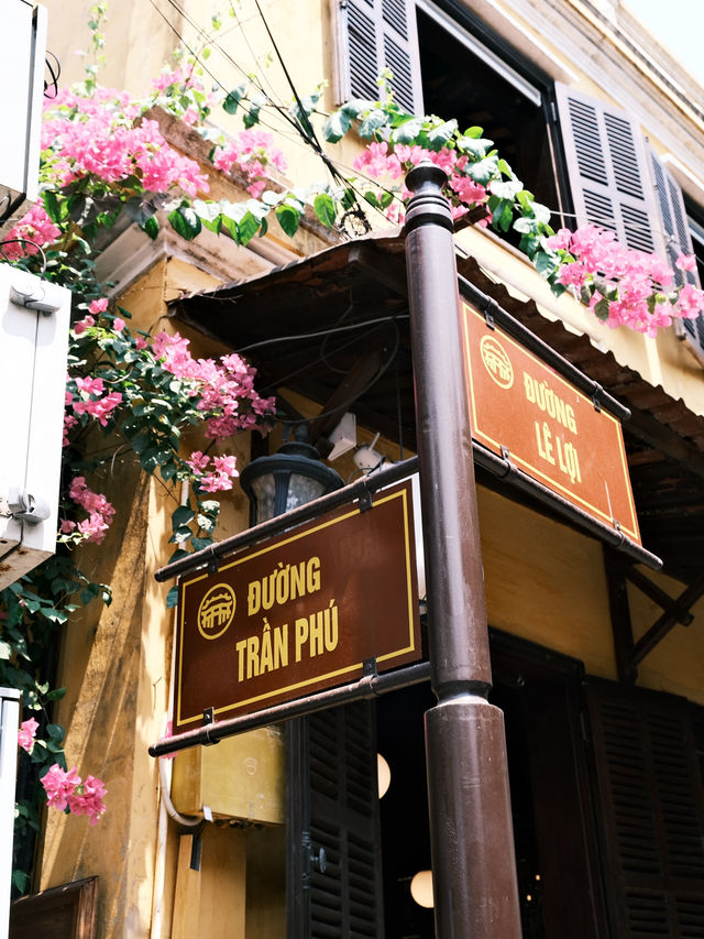 🇻🇳峴港旅行·充滿鮮花和明豔黃牆的會安古城