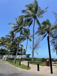静かな時間と美しい海を楽しむPalm Coveの魅力