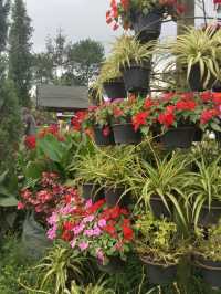 SECRET GARDEN ON A ROOFTOP 