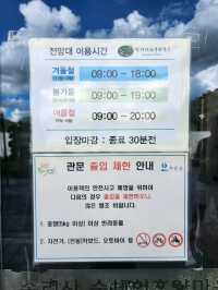 ❣️여름의 끝자락 멋진 뷰로 힐링했던, "충북보은 말티재 전망대"❣️