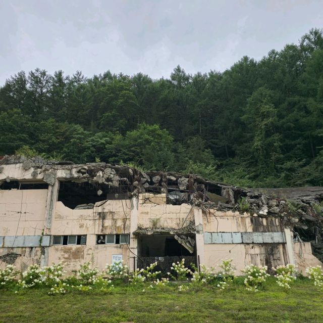 여름여행 태백에서 들린 통리탄탄파크