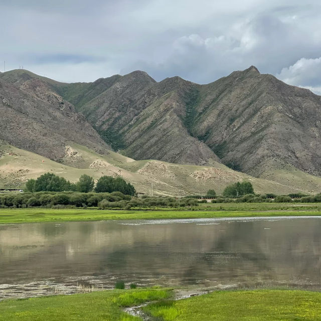 茂林寺沼及低地濕原：仙境濕地 🌿💧