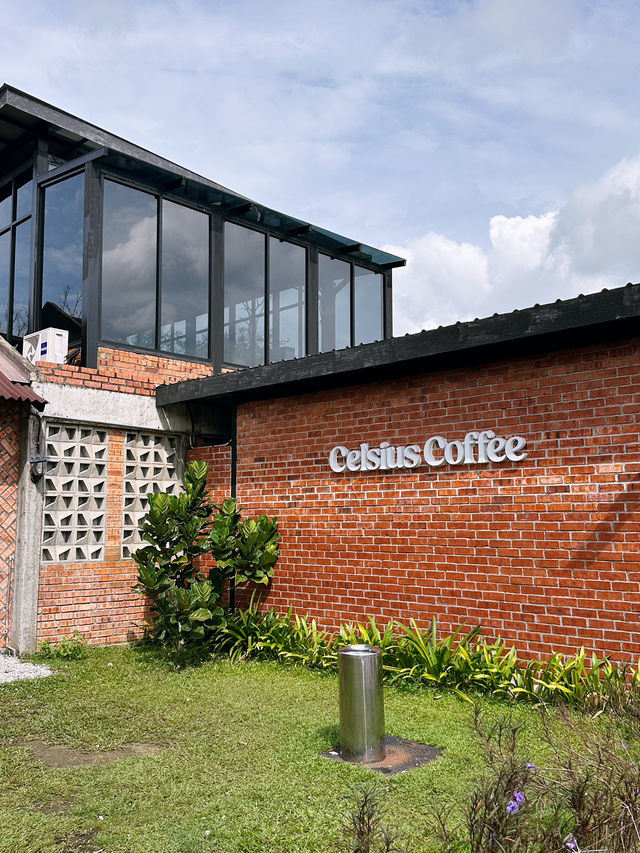 Nilai : Celcius Coffee