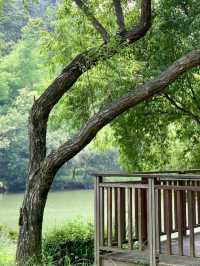 완연한 가을의 자연을 느껴볼 수 있는 🌳부산 야외데이트 명소💚