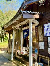 【長崎県】全国「月読神社」の元宮