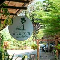 ไปเที่ยวอุโมงค์ต้นตาลที่ จ. เพชรบุรีกัน 🌴🌴