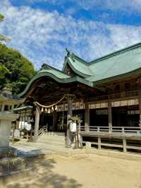 【山口県】日本鶏 黒柏発祥の地