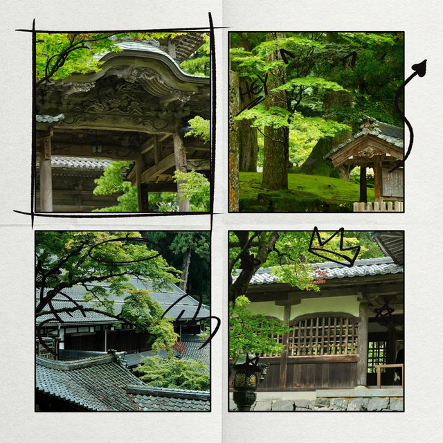 法雲禪寺：日式靜謐 🍃🧘‍♂️
