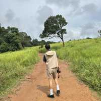 อุทยานแห่งชาติเขาใหญ่ | KHAO YAI National Park 