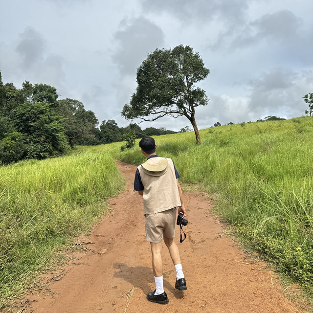 อุทยานแห่งชาติเขาใหญ่ | KHAO YAI National Park 