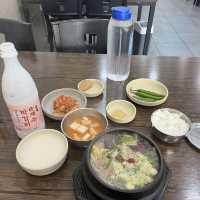 제주시내~애월까지 제주도 마스터가 여행하는법😘