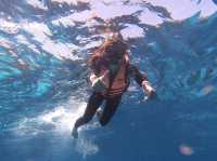 ดำน้ำดูปะการังและฝูงปลาที่เกาะสิมิลัน🐠🌊