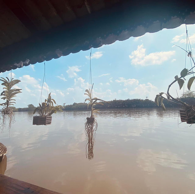 บ้านป้าหมู