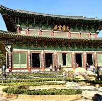 보은 법주사 국화축제