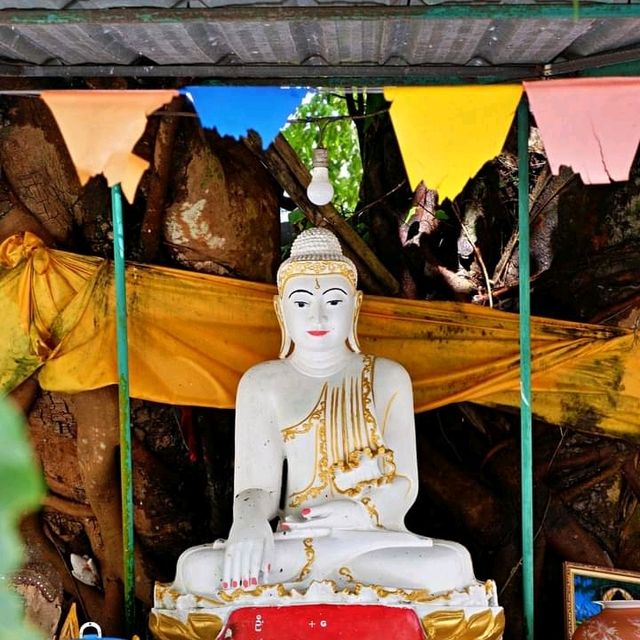 วัดวารีบรรพต (วัดบางนอน) จ.ระนอง