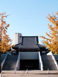 東京賞楓秘境🍁：芝公園！遠眺東京鐵塔🗼最佳位置！ 