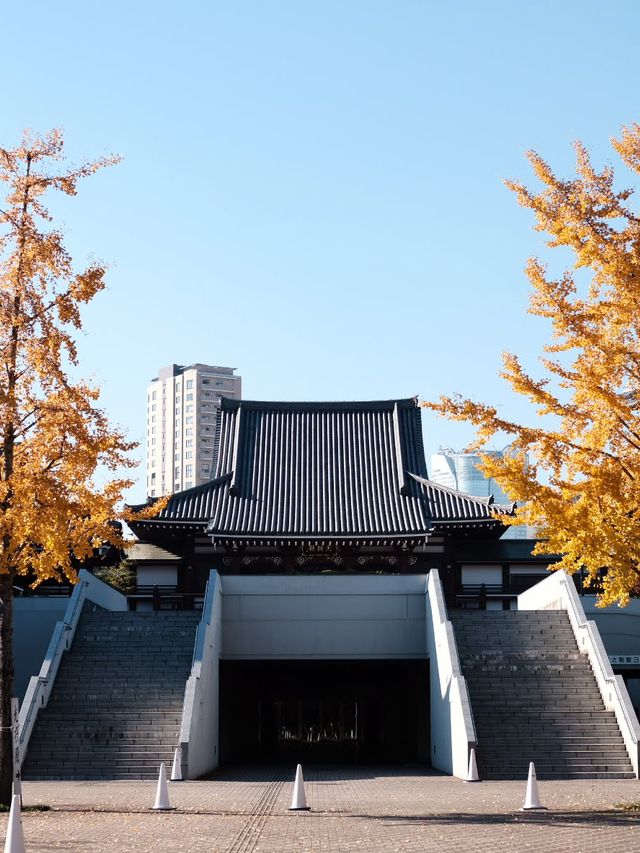 東京賞楓秘境🍁：芝公園！遠眺東京鐵塔🗼最佳位置！ 