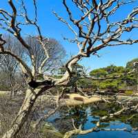Very impressive garden & a must visit spot in Tokyo.